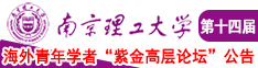 妣妣小视频南京理工大学第十四届海外青年学者紫金论坛诚邀海内外英才！